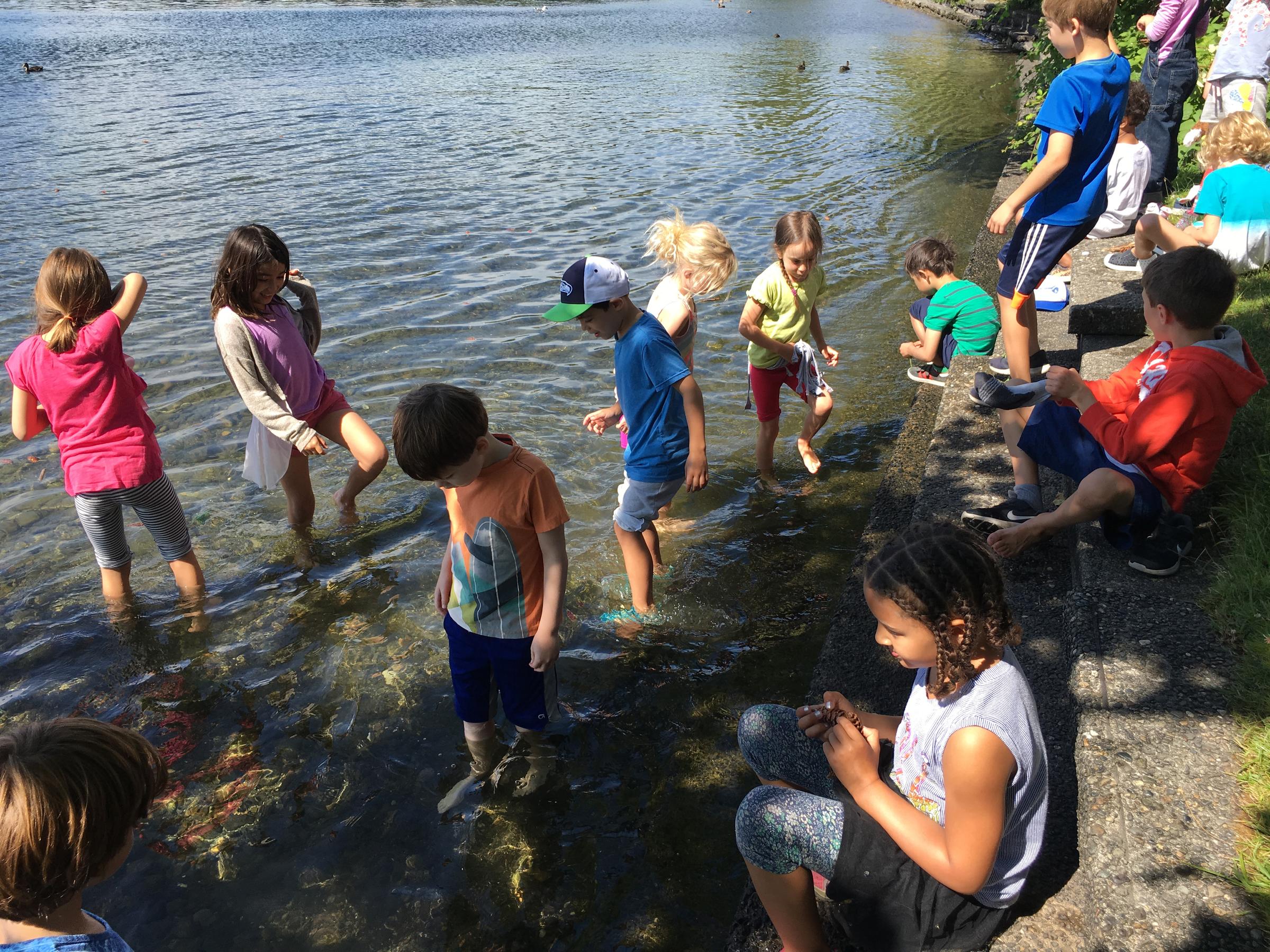 summer-camps-seward-park-audubon-center