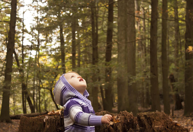 Us Trails In Early Childhood Education >> Toddler Programs | Seward Park Audubon Center Us Trails In Early Childhood Education >> Toddler Programs | Seward Park Audubon Center
