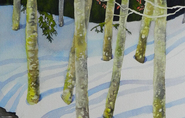 Molly Hashimoto | Watercolor Trees: Alders and Madrones  Hands-on Workshop