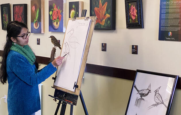 Ashwini Sadekar | Hands-on Bird Drawing Workshop