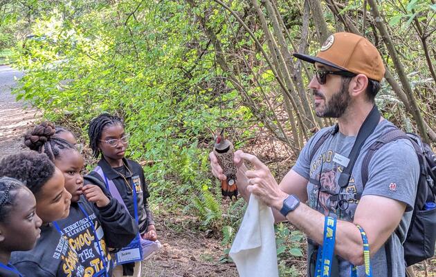 World Migratory Bird Day  | Owls and Woodpeckers