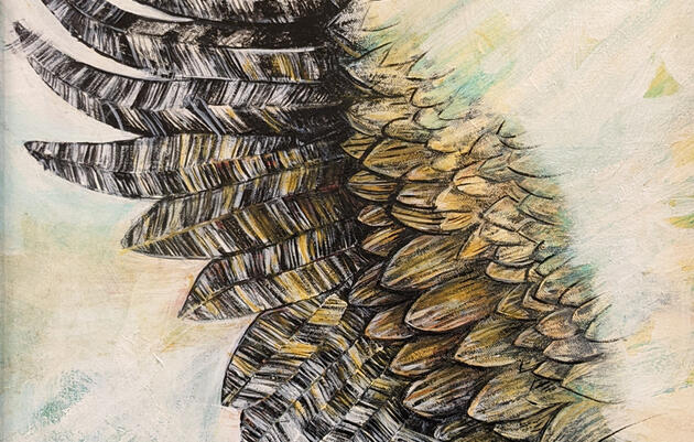 Christine Cox | Feathers and Wings